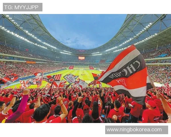 成都足球场的魅力与激情探秘足球文化的独特风采与发展历程